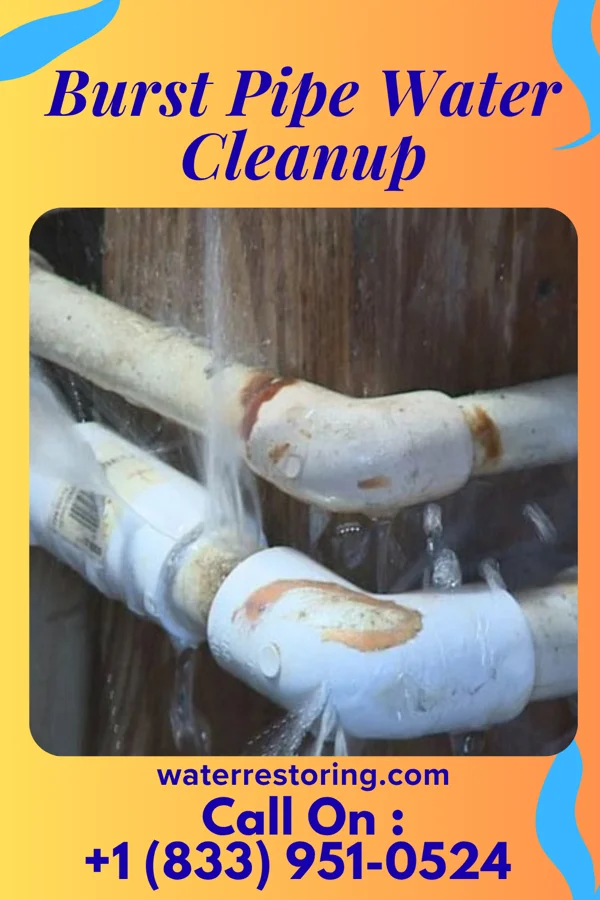 Burst Pipe Water Cleanup in Dana, IN