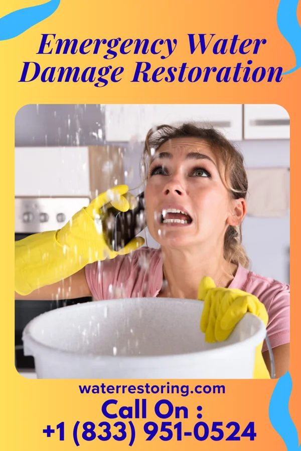 Emergency Water Damage Restoration in Dana, IN